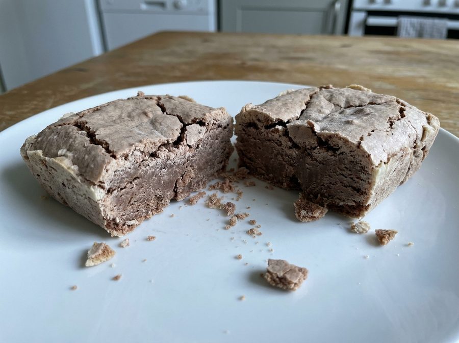 A dry, crumbly brownie showing why ordinary replacement recipes disappoint